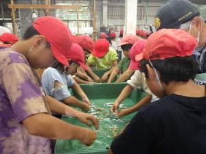 社会科見学