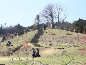 梅の公園整備事業