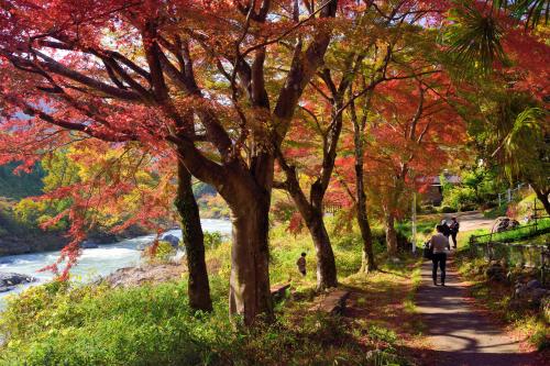 御岳渓谷紅葉の写真