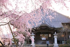 金剛寺の写真画像