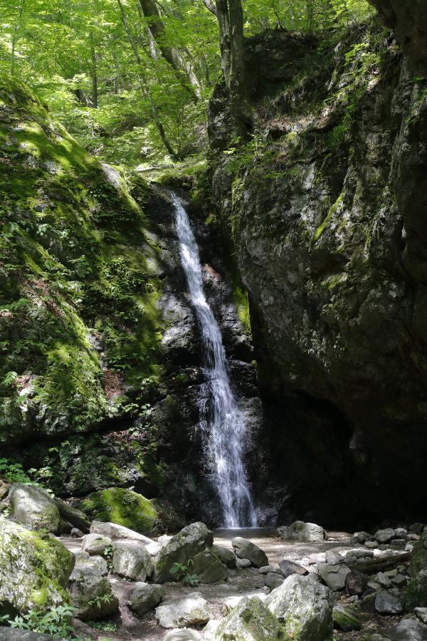 綾広の滝の画像