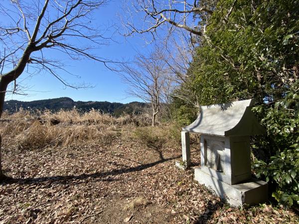 長渕山ハイキングコースの画像1