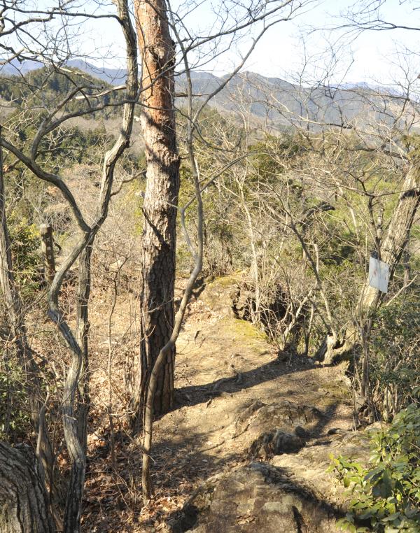 長渕山ハイキングコースの画像2