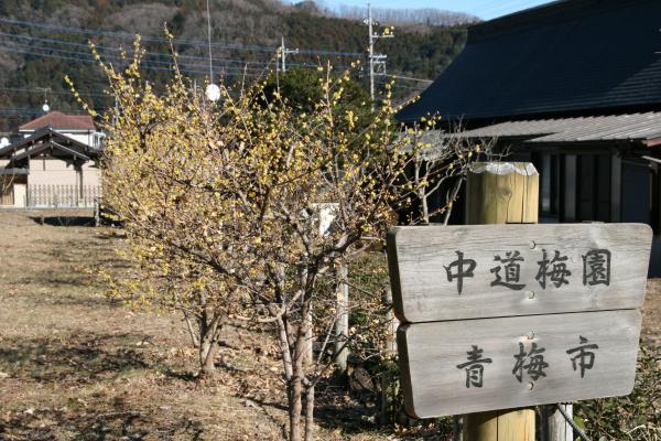 中道梅園の画像