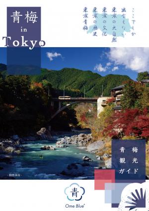 日本語版観光ガイド表紙