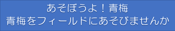 あそぼうよ！青梅　青梅をフィールドにあそびませんか